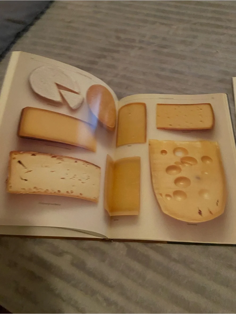 Vtg Culinary Art Traditions Switzerland Cookbook/Swiss Culture Food Recipes HC